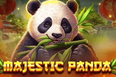2hbet com 2hbet com
